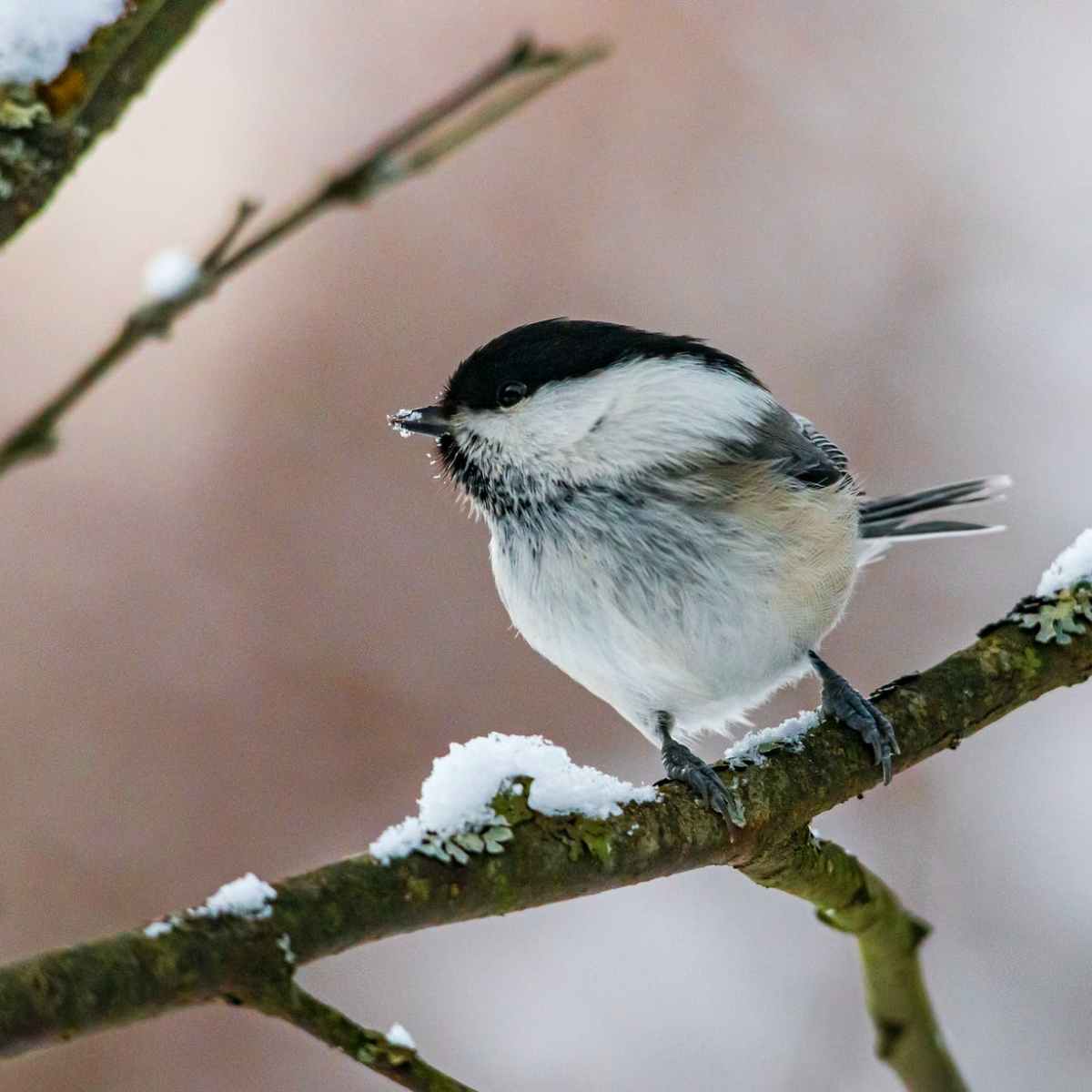 A new look for a new&nbsp;year!