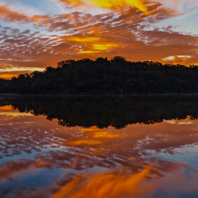 So much planned for&nbsp;2022!