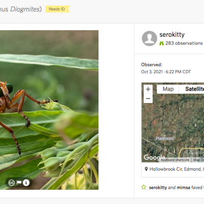 Join the Year Long&nbsp;Challenge!
