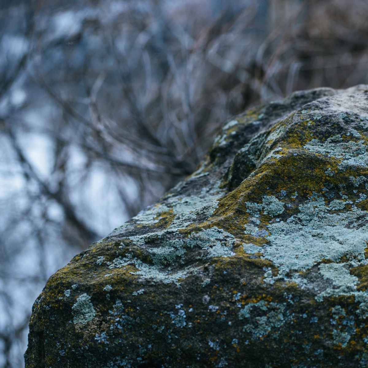 Winter Camp Weekend&nbsp;Schedule