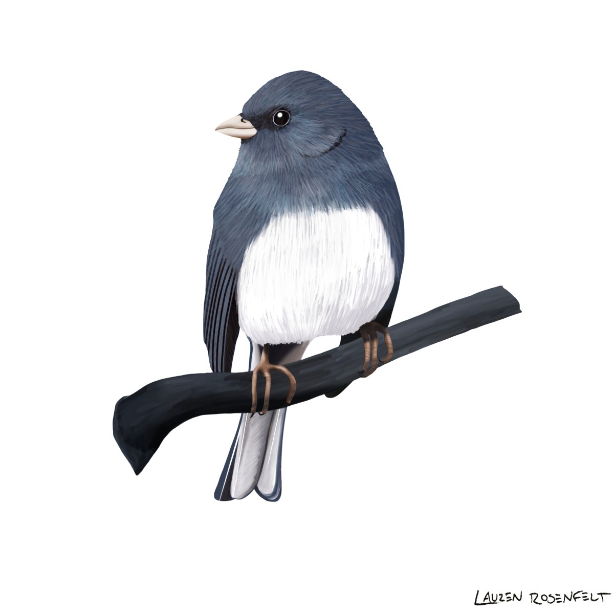 Introducing the stars of the 2022 Winter Biodiversity&nbsp;art…