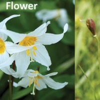 Second in Webinar&nbsp;Series